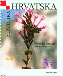 HRVATSKA FLORA - HRVATSKA BRESINA