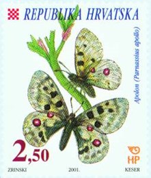 HRVATSKA FAUNA - LEPTIRI - APOLON