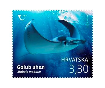 HRVATSKA FAUNA – GOLUB UHAN