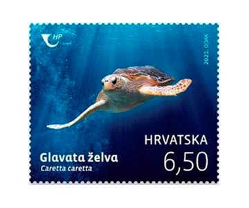 HRVATSKA FAUNA - GLAVATA ŽELVA