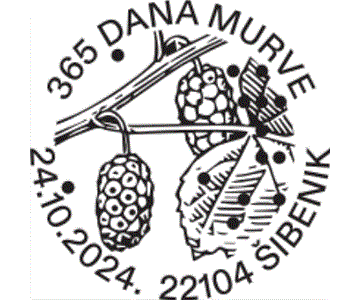 365 DANA MURVE