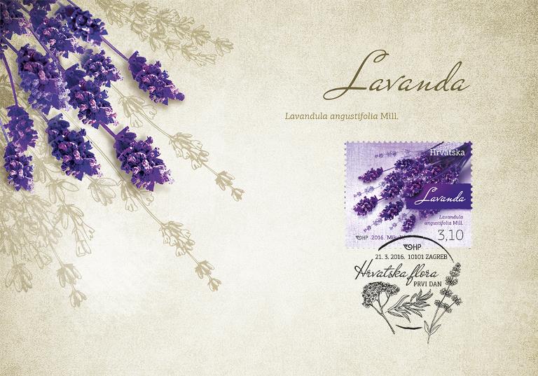 HRVATSKA FLORA - LAVANDA