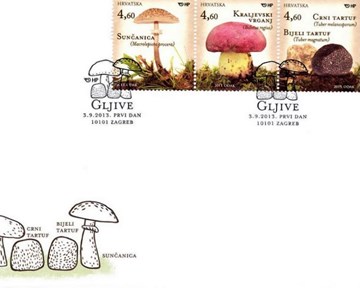 GLJIVE - jestive gljive