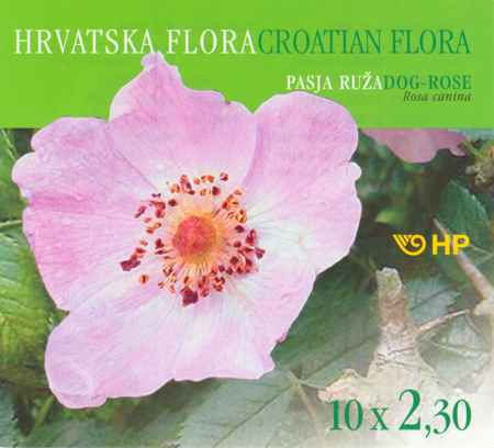HRVATSKA FLORA - PASJA RUŽA (Rosa canina)