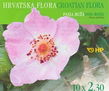 HRVATSKA FLORA - PASJA RUŽA (Rosa canina)