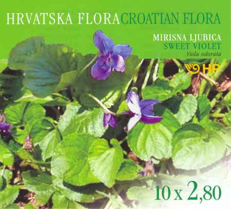 HRVATSKA FLORA - LJUBICA MIRISNA (Viola odorata)