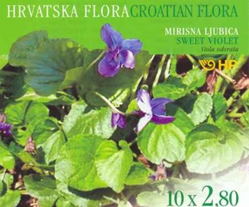 HRVATSKA FLORA - LJUBICA MIRISNA (Viola odorata)