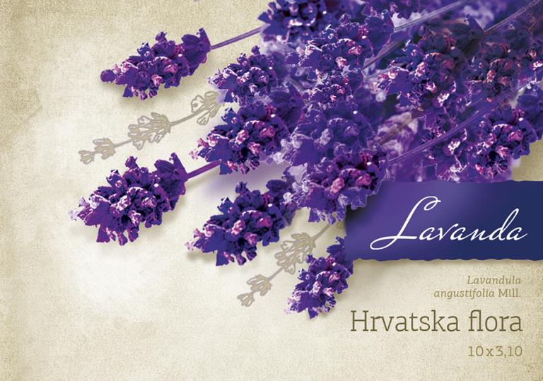 HRVATSKA FLORA - LAVANDA